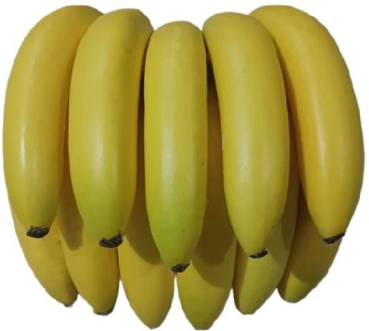 Künstliche Bananenstaude von Cherish Eyes in Gelb zur Dekoration - Bild 1