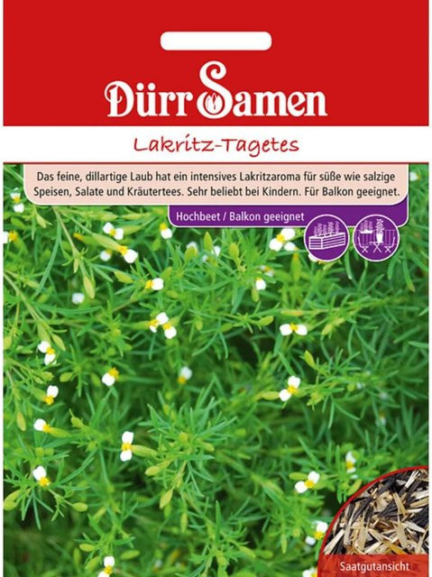 Dürr Lakritz-Tagetes Saatgut für Beete, Balkon und Terrasse - Bild 1