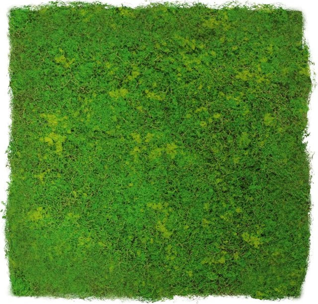 Jangal Wandpaneel Modular Wall Light Green Fibre Design Moos Grün B: 52 cm, H: 52 cm - Bild 1