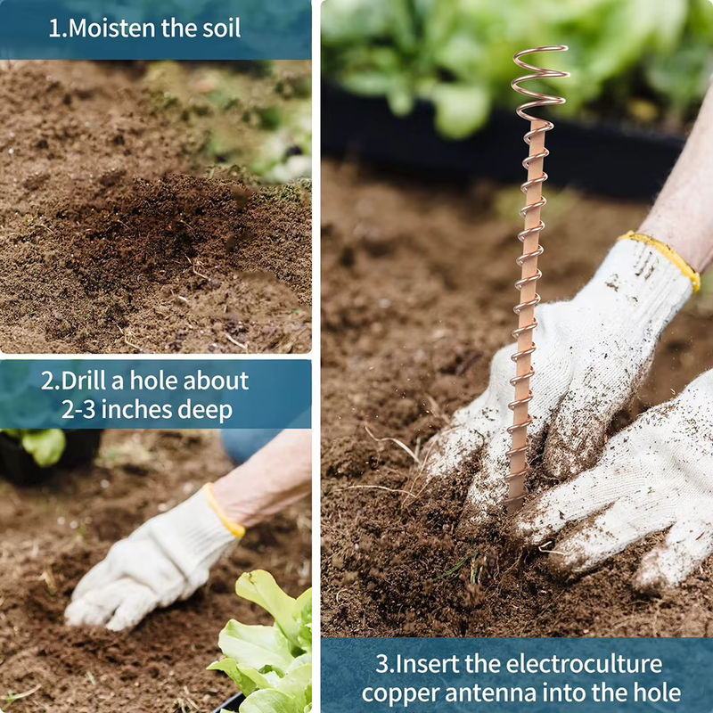 Aihogard Elektro-Kultur-Pflanzenpfähle aus Kupfer zur Wachstumsförderung für deinen Garten - Bild 4