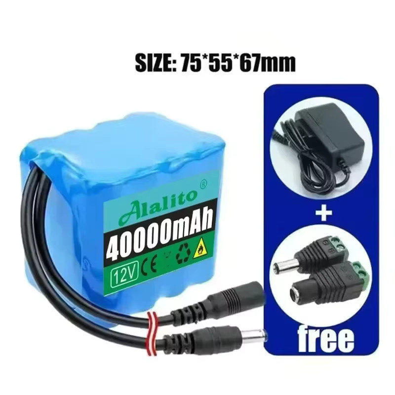 ALalito 12V Lithium-Ionen Akku Pack mit 20000 mAh und BMS sowie Ladegerät, Blau - Bild 2
