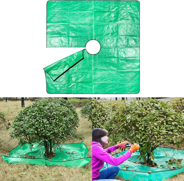Faltbare Gartenplane für die Blattaufbewahrung im Außenbereich, Grün, B/B/H: 200 x 200 x 100 cm - Bild 1
