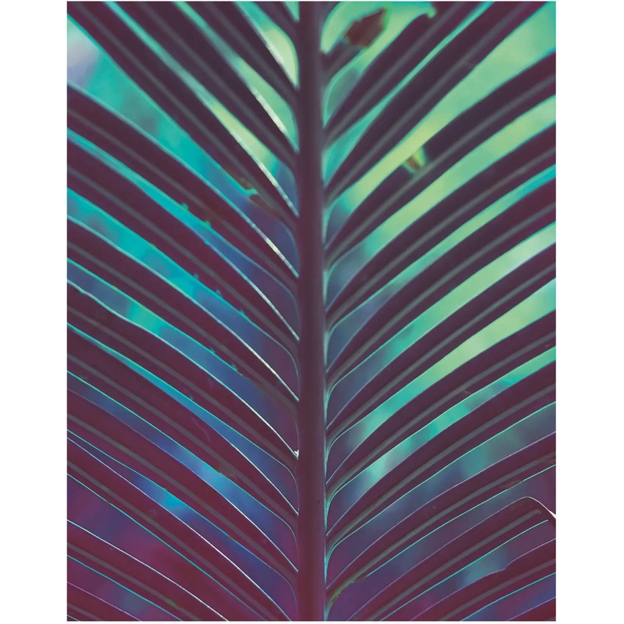Komar Wandbild Hide Paper Poster Multicolor B: 40 cm, H: 50 cm - Bild 2