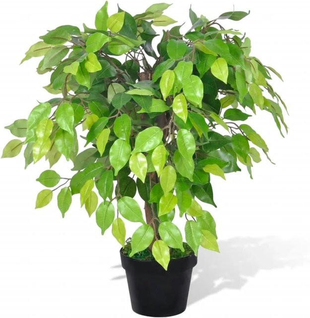 vidaXL Künstlicher Zwerg-Ficus in Grün mit Topf, Höhe: 60 cm - Bild 1