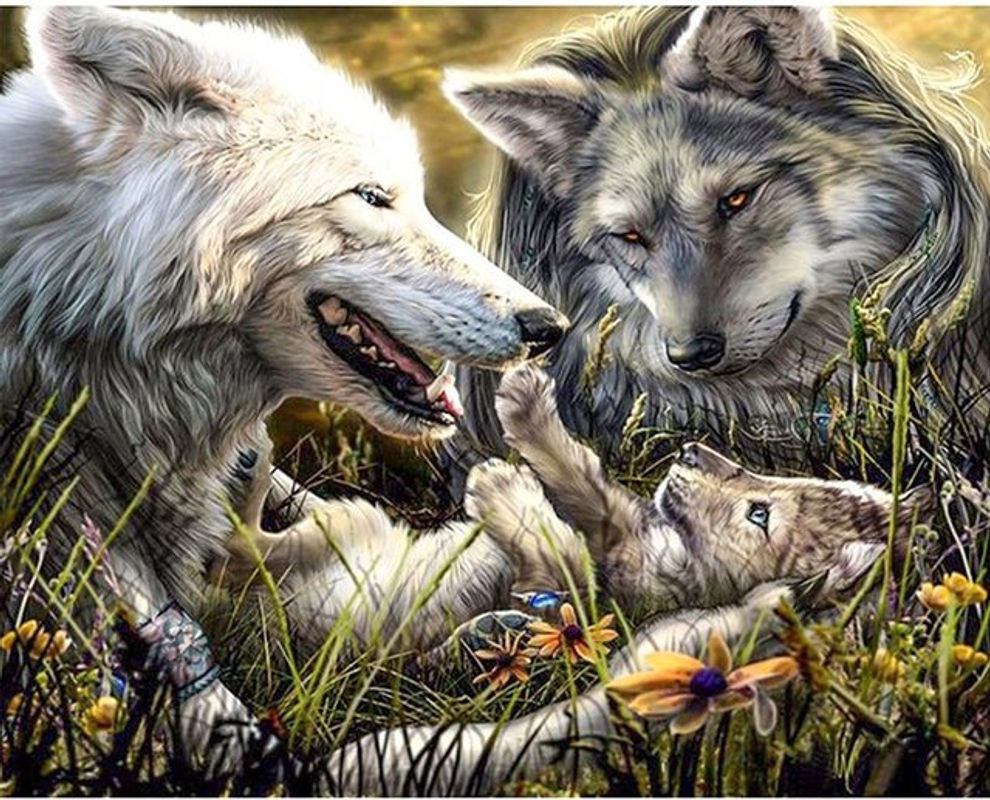 FIYO Diamond Painting Set Wolfsfamilie mit runden Steinen, mehrfarbige Kreuzstich-Stickerei für moderne Dekoration, B/H: 30 x 20 cm - Bild 1