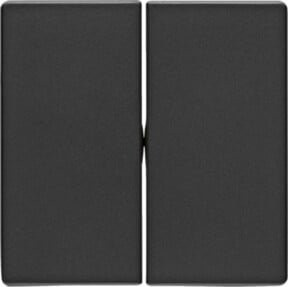 Berker Wippe Anthrazit Flush aus Kunststoff 16236086 - Bild 1
