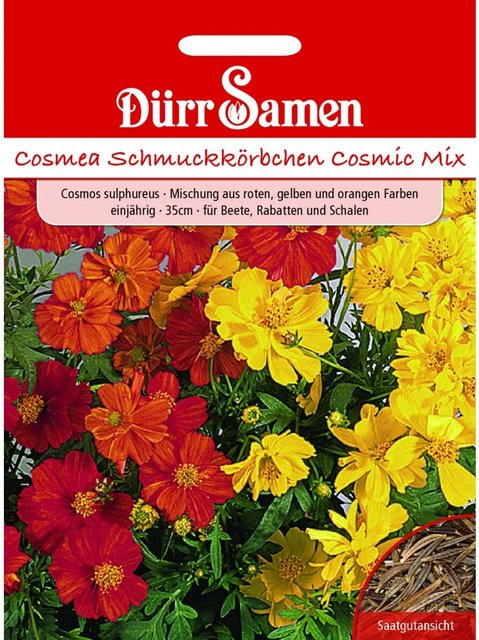 Dürr Samen Cosmea Cosmic Mix Einjähriges Saatgut in Gelb, Rot und Orange - Bild 1