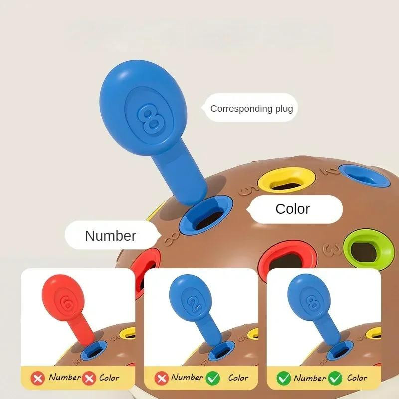 MHXIANGQIANJIN Igel Lernen Zählen & Sortieren Montessori Pädagogisches Spielzeug 0-3 Jahre - Bild 3