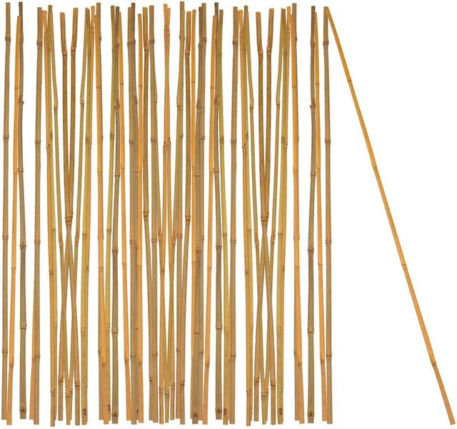 BigDean Pflanzstab aus Bambus als Rankhilfe, 50 Stück, Natur, Höhe: 105 cm, Durchmesser: 0,8 bis 1 cm - Bild 1