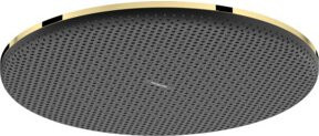 Hansgrohe Raindance Alive S Kopfbrause in Gold, Durchmesser: 30 cm - Bild 1