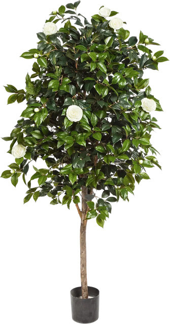 Künstlicher Kamelienbaum Polly von Aplanta, Höhe: 170 cm - Bild 1