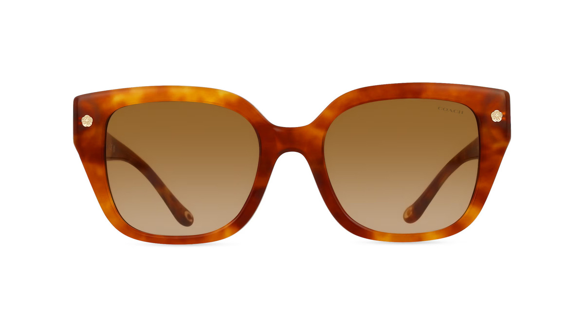 Coach 0HC8392U Sonnenbrille, Vollrand, Quadratisch, Acetat, braun, Damen - Bild 1