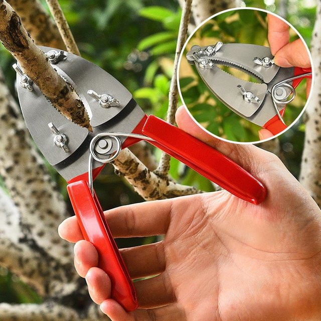 Professionelle Baumring-Schneideschere aus Edelstahl in Rot für die Veredelung und Gartenarbeit - Bild 1