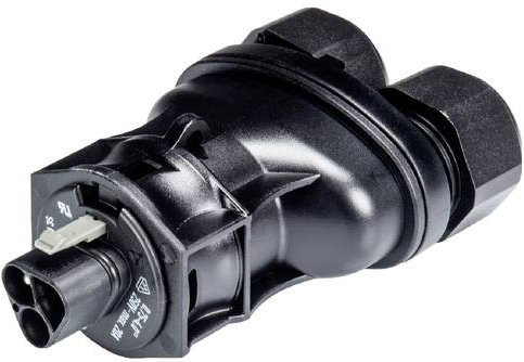 Wieland Electric 96.032.4353.1 Steckverbinder in Schwarz - Bild 1