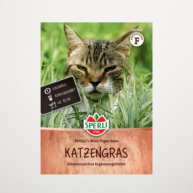 SPERLI's Mini-Tiger-Gras Katzengras Samen - Bild 1