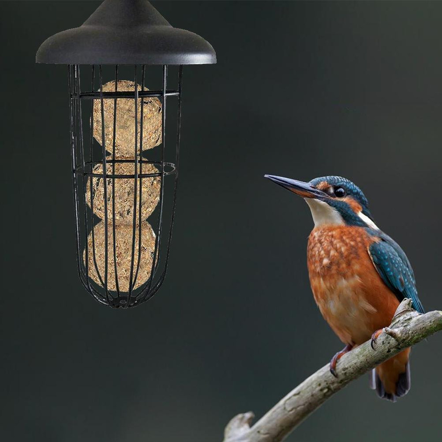 DIYelecs Vogel Futterspender aus Metall für Fettbällchen zum Aufhängen, Schwarz - Bild 6