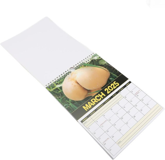 2025 Wandkalender mit Pilz-Themenmuster als Monats-Hängekalender in Beige und Multicolour - Bild 1