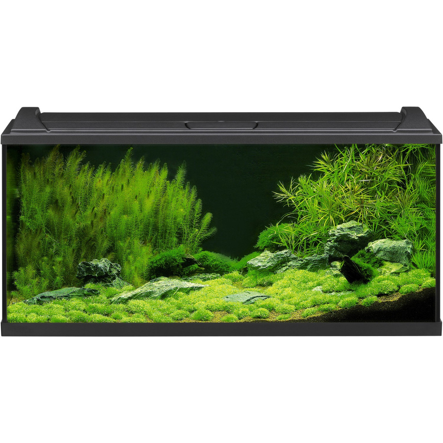 Eheim Aquapro LED Aquarium-Set, Schwarz - Bild 2