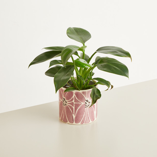 Keramik Übertopf Green Living BLUME2000 mit Blumenmuster in Lila, Höhe: 13,5 cm, Durchmesser: 12 cm - Bild 1