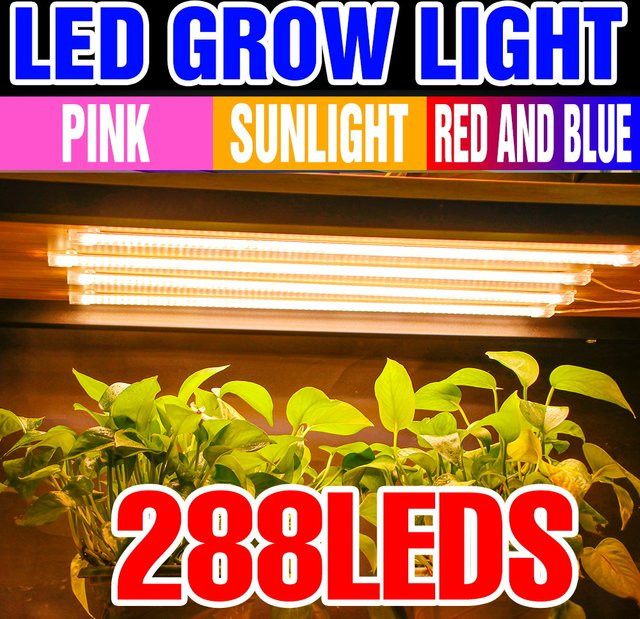 CanLing USB LED Vollspektrum Pflanzenlampe für Zimmerpflanzen Obst und Gemüse in Weiß mit Timer und Auto On/Off Funktion - Bild 1