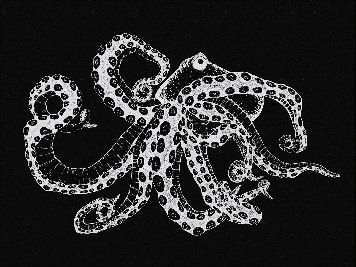 Coordonné Wanddeko Octopus X-Ray Black Textil - Bild 2