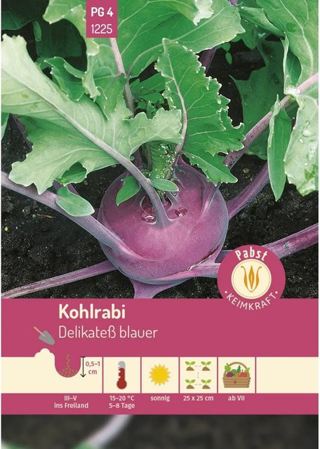 Pabst Keimkraft Kohlrabi Mittelfrüh und Zart Delikatesse Gemüse-Saatgut - Bild 1