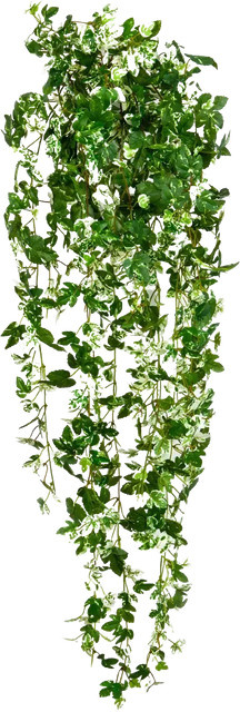 Künstlicher Efeu Friederike von Aplanta, Grün, Höhe: 85 cm - Bild 1