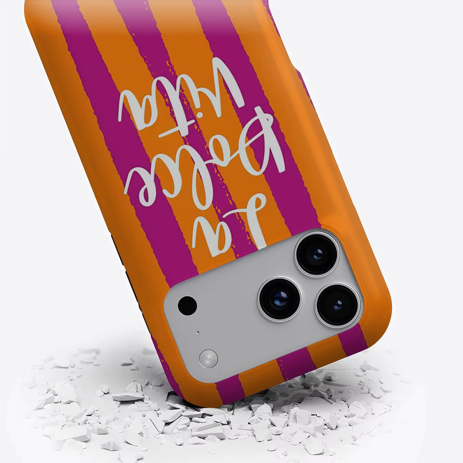 Aurbe Dolce Vita Charm Case 2-in-1 MagSafe Hülle mit mattem Schutzfilm für iPhone 17 16 15 14 Plus Pro Max, Stoßfeste Hartschale, Multicolour - Bild 3