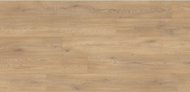 Kaindl Masterfloor XPT Laminat Eiche Cremona Torro wasserfest in Braun mit Holzoptik, Stärke: 8 mm - Bild 1