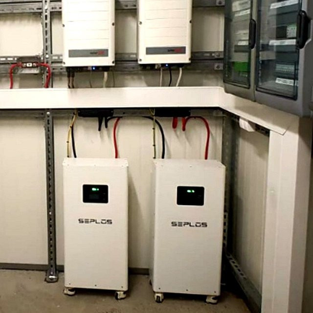 Seplos LiFePO4 Batterie DIY Kit 51,2 V 314Ah CATL mit Smart BMS und Active Balancer 16kWh in Weiß - Bild 1