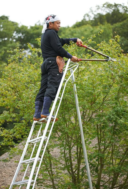 Niwaki Gartenleiter aus Aluminium in Silber mit 3 Holmen - Bild 6
