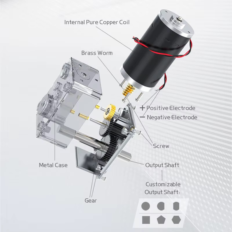 ZENG WHCD 5840-31ZY DC-Bürstenmotor mit Schneckengetriebe, 12 V/24 V, bidirektionale Ausgangswelle, hohes Drehmoment, 7 U/min bis 470 U/min - Bild 3