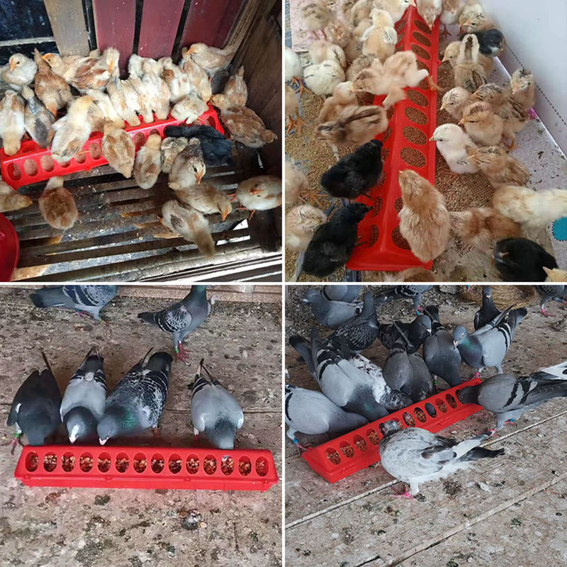 Hochwertiger Kunststoff-Flip-Top-Futterspender für Geflügel und Fasanen als Futtertrog oder Futtereimer für Küken - Bild 3