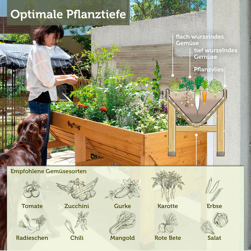 VegTrug Hochbeet Klassik aus Zeder in Natur Braun, B/T/H: 183 x 76 x 80 cm - Bild 2
