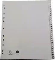 Exacompta Zahlenregister Forever DIN A4 Überbreite 1-31 in Grau und Weiß - Bild 1