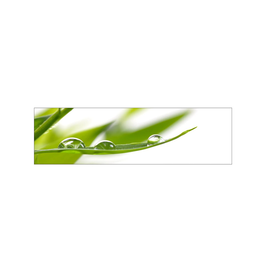MySpotti Küchenrückwand Profix Cucina Dew Drop in Grün-Weiß mit Aluminium-Finish, Breite: 210 cm, Höhe: 60 cm, Tiefe: 60 cm - Bild 1