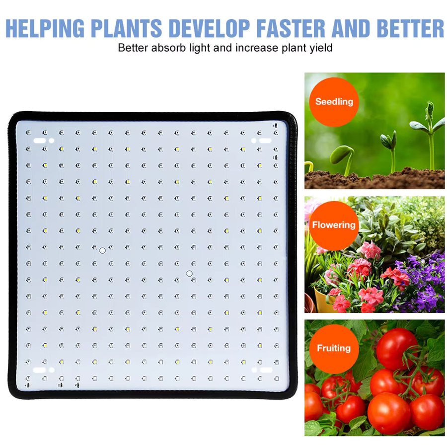 CanLing 200W LED Vollspektrum Quantum Board Anbau Lampe für Pflanzen in Schwarz - Bild 1