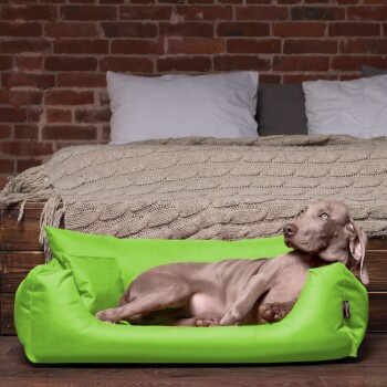 Tierlando NEMO Hundebett Hundesofa als Hundekorb oder Katzenbett in Kiwi Grün B: 80 cm, T: 60 cm, H: 22 cm - Bild 2