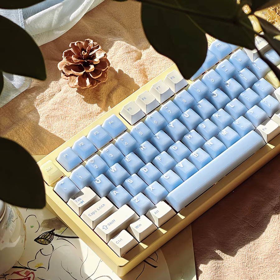 BINYEAE Tastenkappen Set für mechanische Tastaturen mit Alice-Layout, 164 Tasten, Blau, PBT-PC, Double Shot, Cherry-Profil, durchscheinend - Bild 5