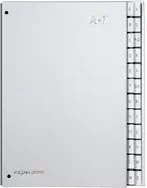 PAGNA Pultordner Silver für DIN A4 mit 24 Fächern in Silber Metallic - Bild 1