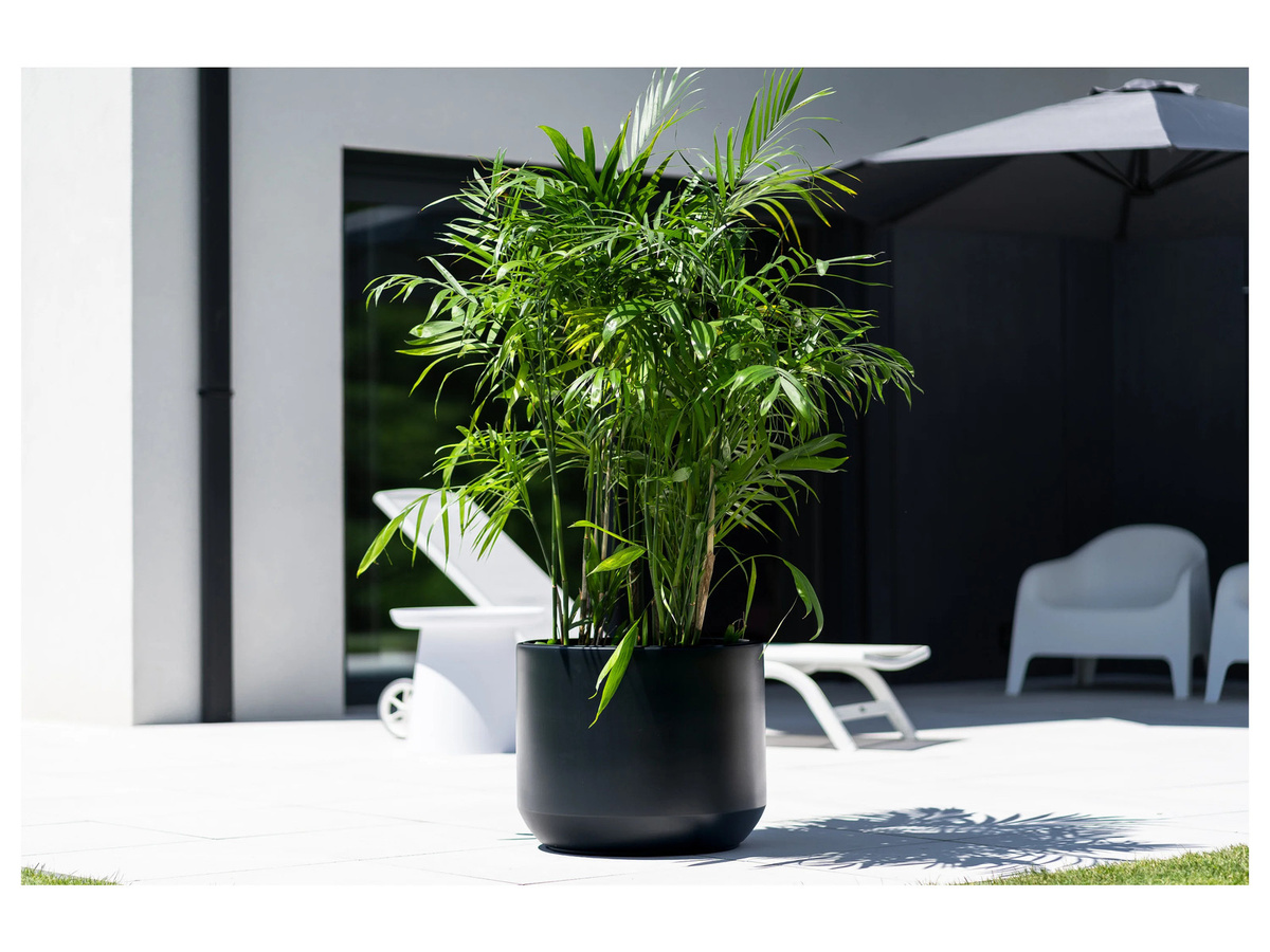PROSPERPLAST Blumentopf Heos Anthrazit B: 47,0 cm, T: 47,0 cm, H: 56,8 cm - Bild 3