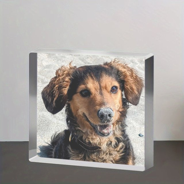 Individuelles Acryl-Display für Haustiere von Hello Young, transparent und grün, handgefertigtes 3D-Desktop-Andenken als moderne Dekoration - Bild 1