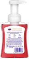 Sagrotan Schaumseife Samt Kirschblüte & Rose, 250 ml - Bild 1