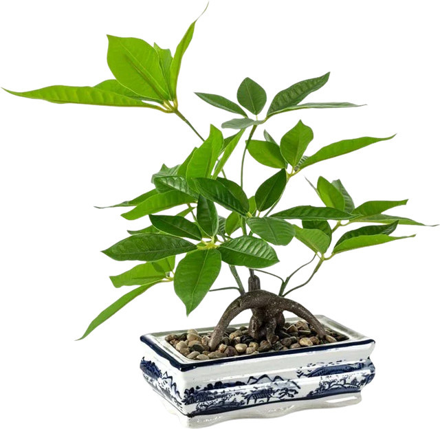 Künstlicher Bonsai Damian von Aplanta, Höhe: 38 cm - Bild 1