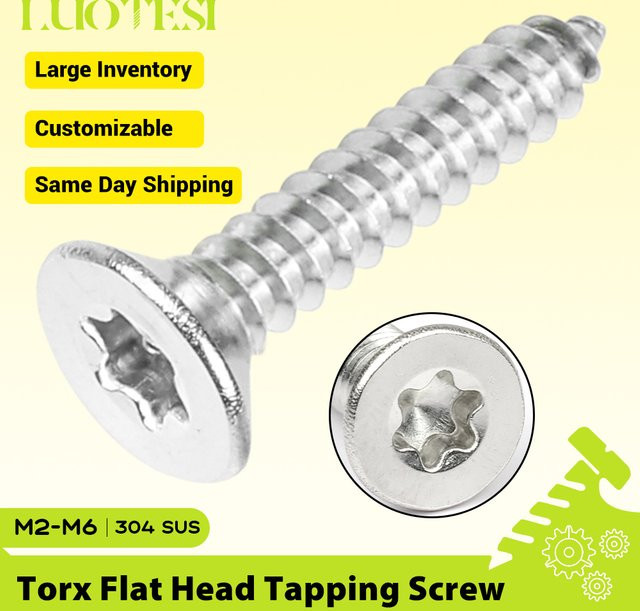 LUOTESI Torx-Senkkopfschrauben aus Edelstahl 304, selbstschneidende Holzschrauben, Silber - Bild 1