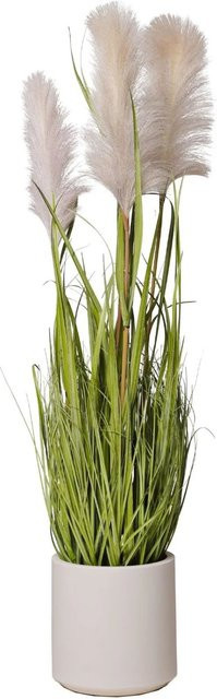 Vivanno Kunstpflanze Secca Pampas Gras in Creme, H x B x T: 120 x 30 x 30 cm - Bild 1