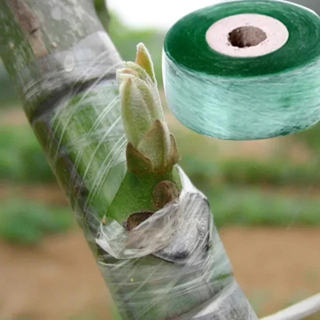 Stretch Transplantatband für Obstbäume und Gartenpflanzen, 100 m x 2 cm - Bild 1