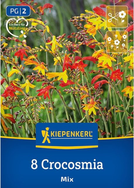 Kiepenkerl Crocosmia Mischung kleinblühend bunt, 8 Zwiebeln - Bild 1