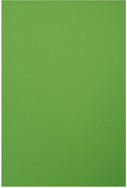 VBS Tonpapier Hellgrün - Bild 1