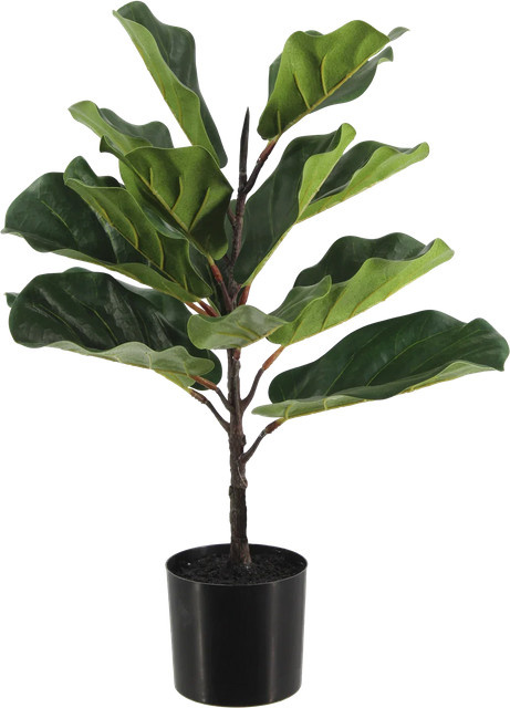 Künstlicher Ficus Lyrata Luan von artplants in Grün, Höhe: 60 cm - Bild 1